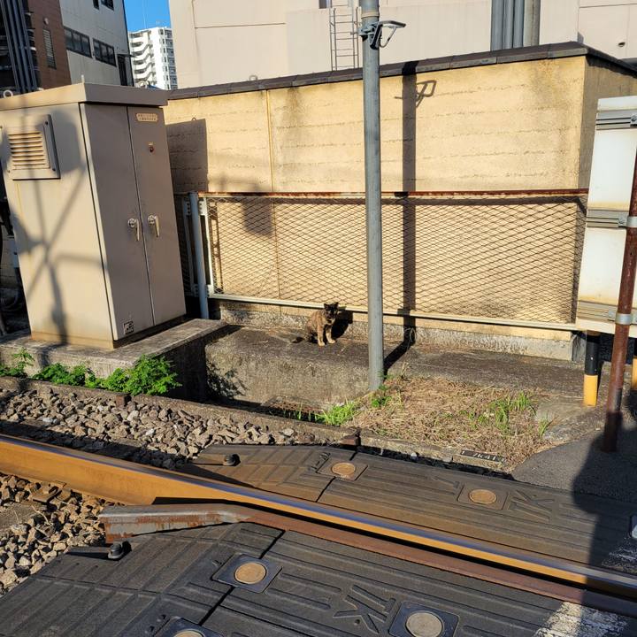 B7b4bfe3 ec4c 408f 8fd5 9e30849e5b5c 1697768162405