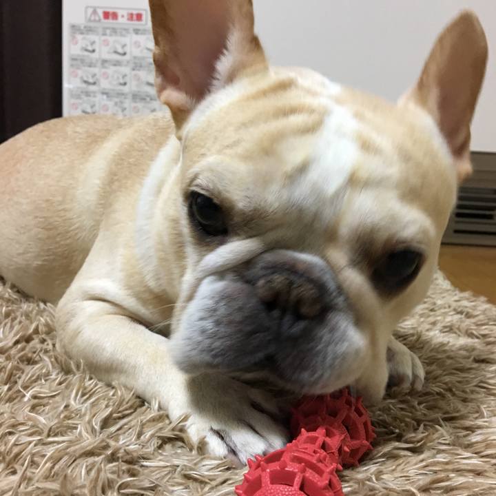 B7b4d19f 17ac 495b b9a1 34a966b6f211 1515063394700