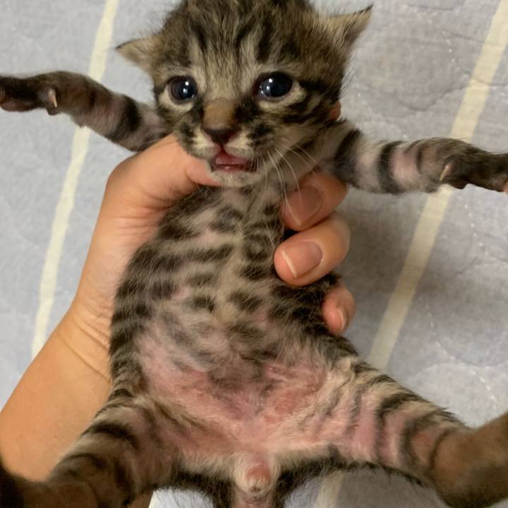 B7b4dd58 bfdb 4060 875f 0b5bfa1f6890 1569126891964