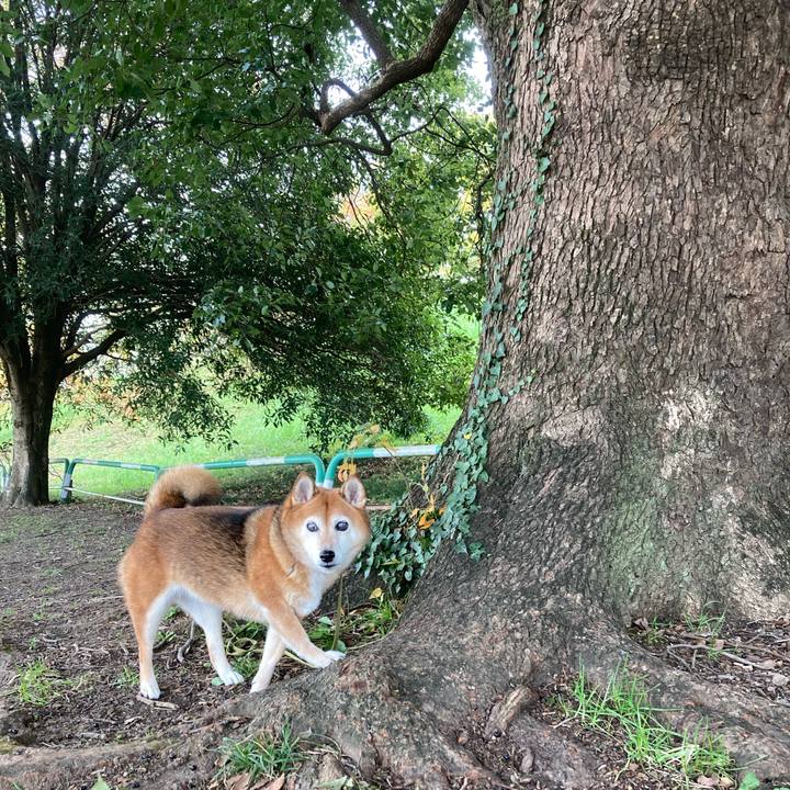 B7b4fce1 d810 4fcc 86ac 1839a47a5545 1669693321672