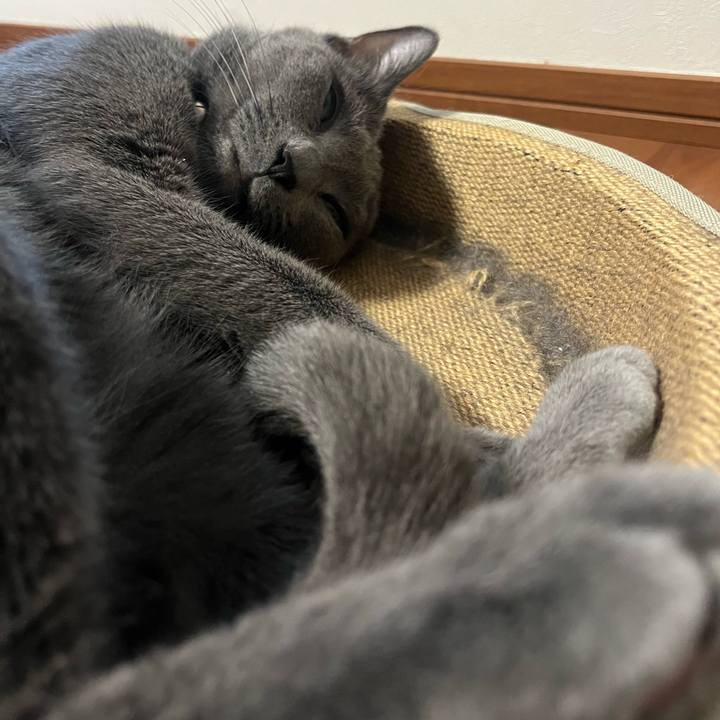 B7b52c2f 7871 4f93 828f 0d4596758b99 1723116993948