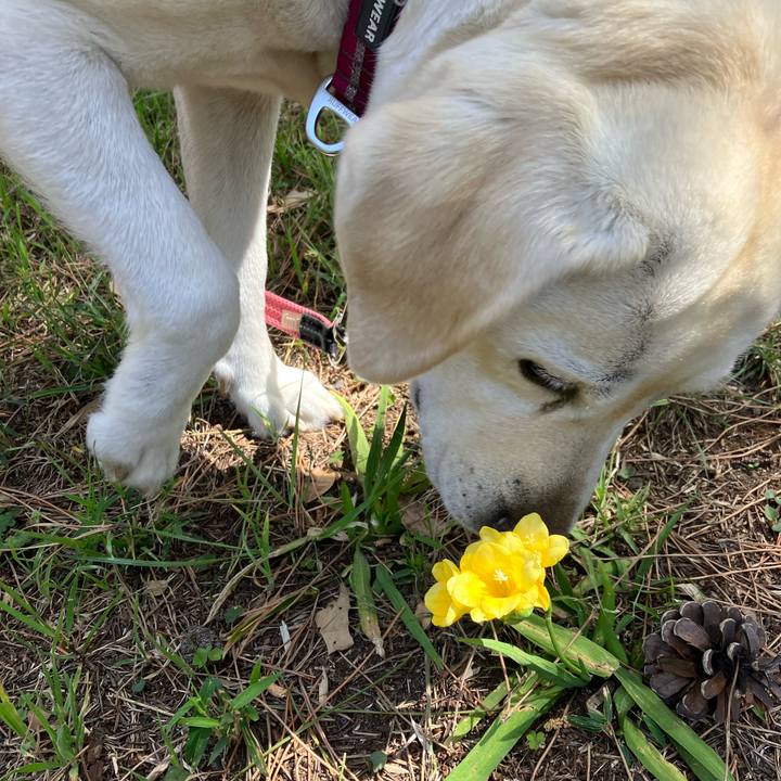 B7b52e10 f1c4 42ba 9c36 84efe18e4ab7 1681426689306