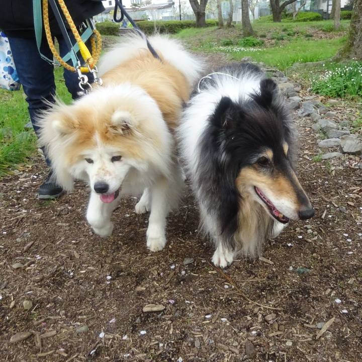 B7b5a3d1 6f6a 4046 a472 fb8b7d4a972c 1617710350401