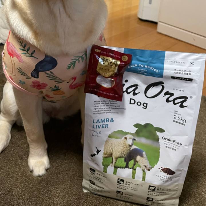 B7b5abae ccdd 4b6e 8635 6f008b49d325 1625470905775