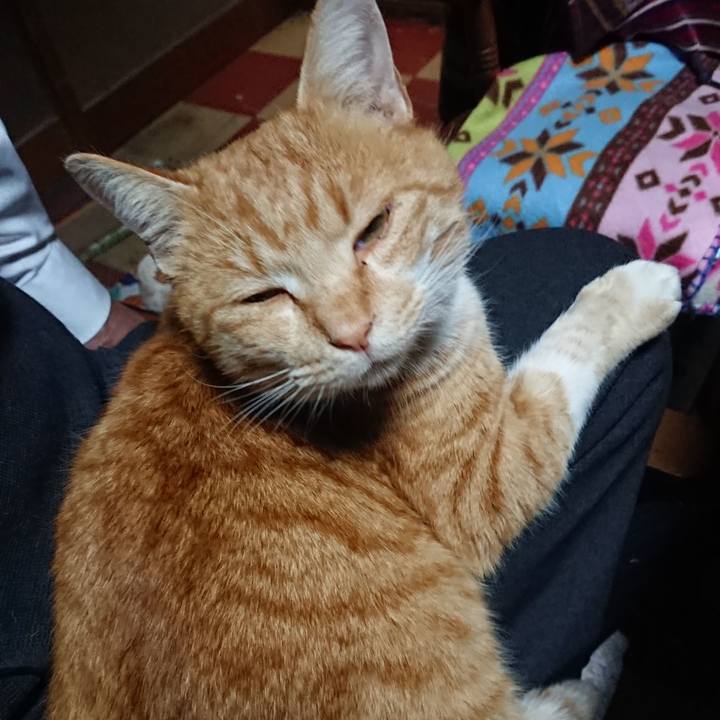 B7b5e3ec 800d 418d af29 73621938cebe 1576833770186