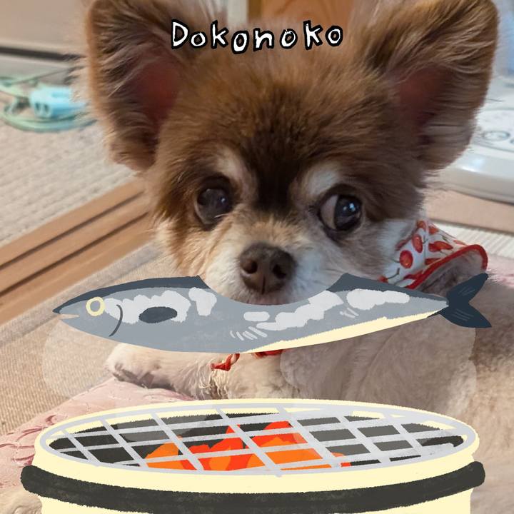 B7b63927 b7fc 441b 853f b3ff3dc91e72 1761178712818