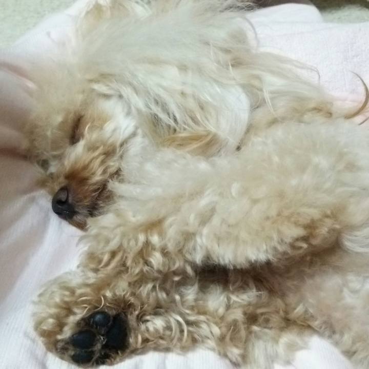 B7b673f5 648a 4728 9c16 36b2da86c44b 1514983924979