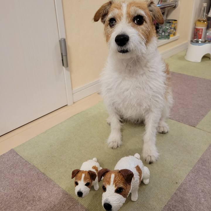 B7b68620 fc20 4e57 9cc8 e42c28772be0 1727434244741