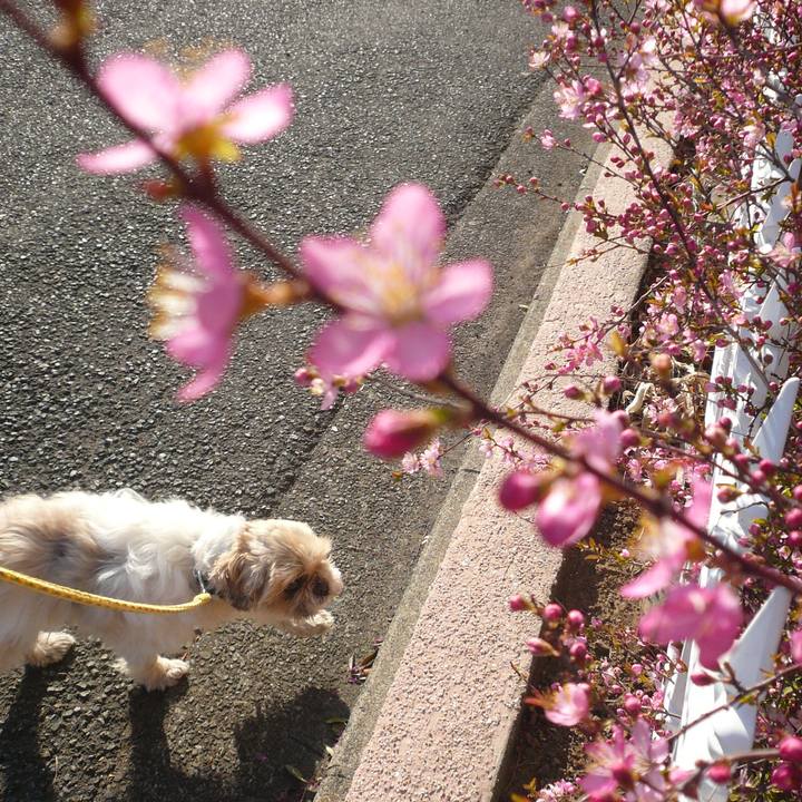 B7b688b1 18cf 4e0f a7d7 87f17e35606e 1519885312277