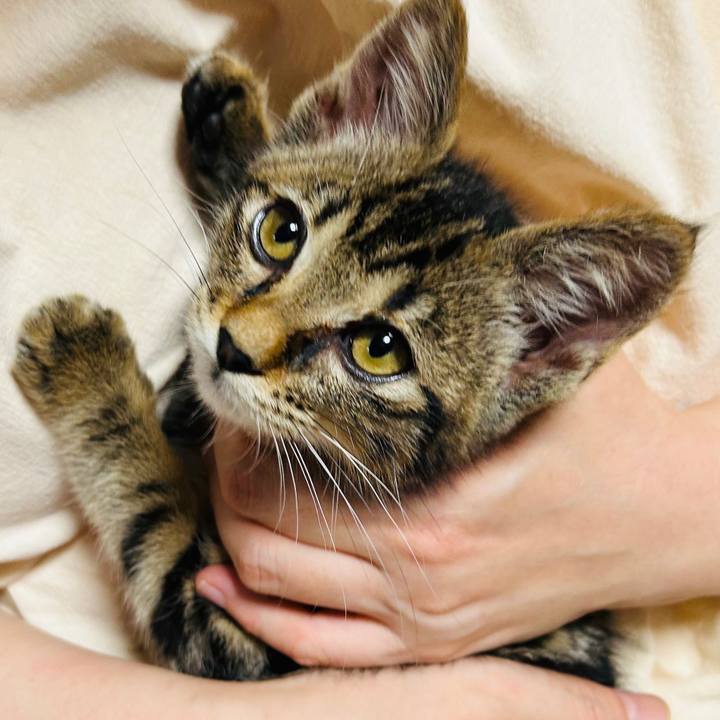 B7b6f2b3 9df1 4a8d a6ba 32e5fb1a58b5 1725970164154