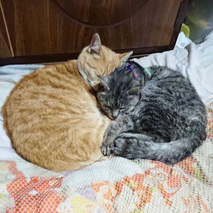 B7b723cd bcaa 488c a4c6 e0609faee7af 1587126427695