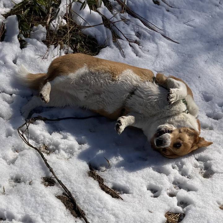 B7b75105 de1d 4471 9bfb f598656d802a 1707274102045