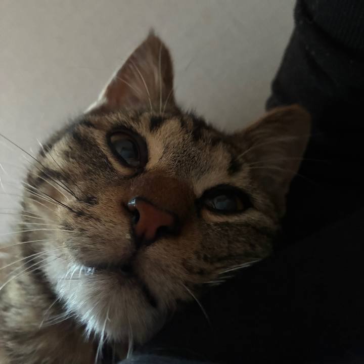 B7b78321 42e8 446f 8bad 644c87670886 1745697312090