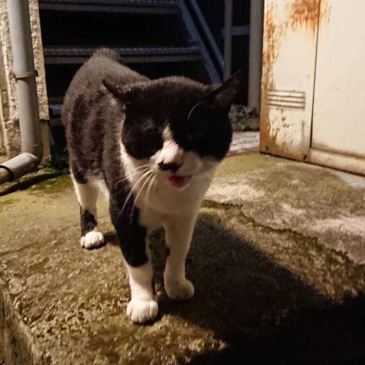 B7b7903f d711 4be5 a03b 0ba4ac2b0c32 1533040063751