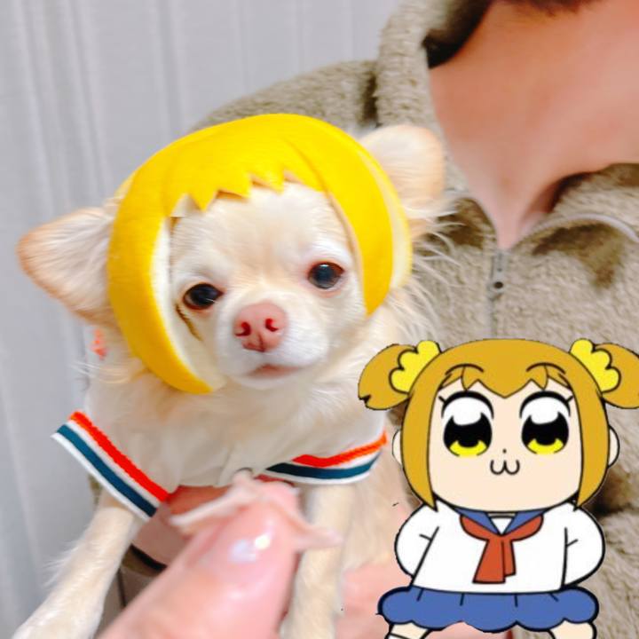 B7b7961a 7f57 4de6 b565 32a7520da96d 1647950484328