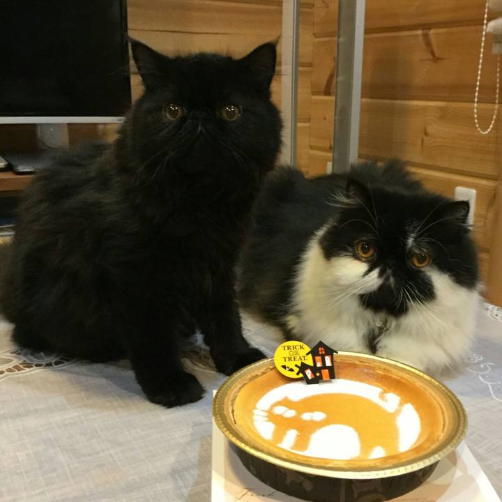 B7b7c109 12d5 47d0 9148 fbab21333ae6 1509278371743