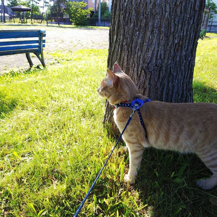 B7b7da85 0785 4105 baf0 6d8a2b32a370 1562020728653