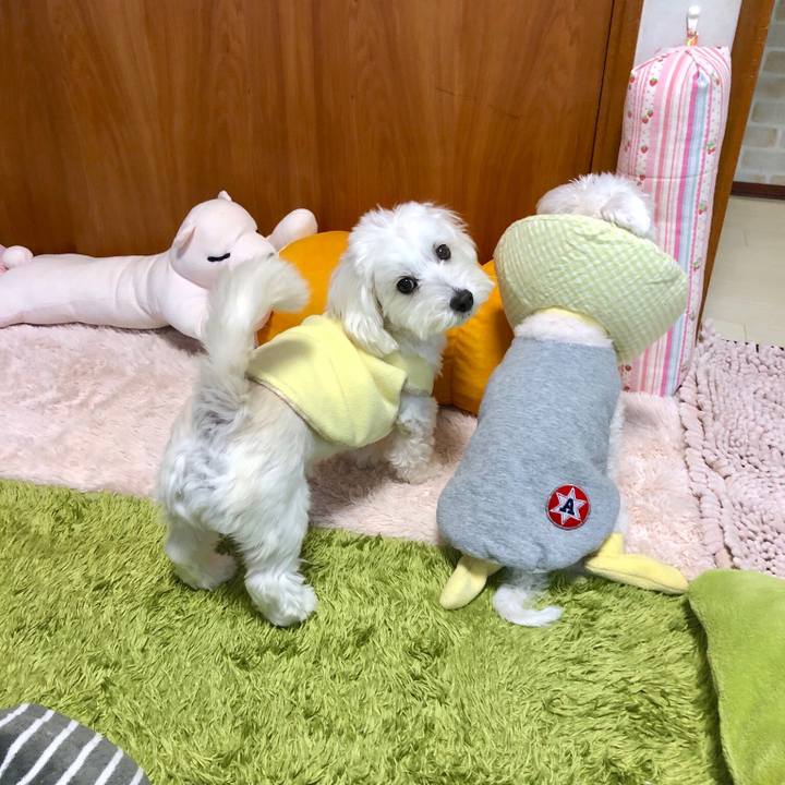 B7b7e0e7 2b1f 43b1 9286 231dec217243 1544834340845