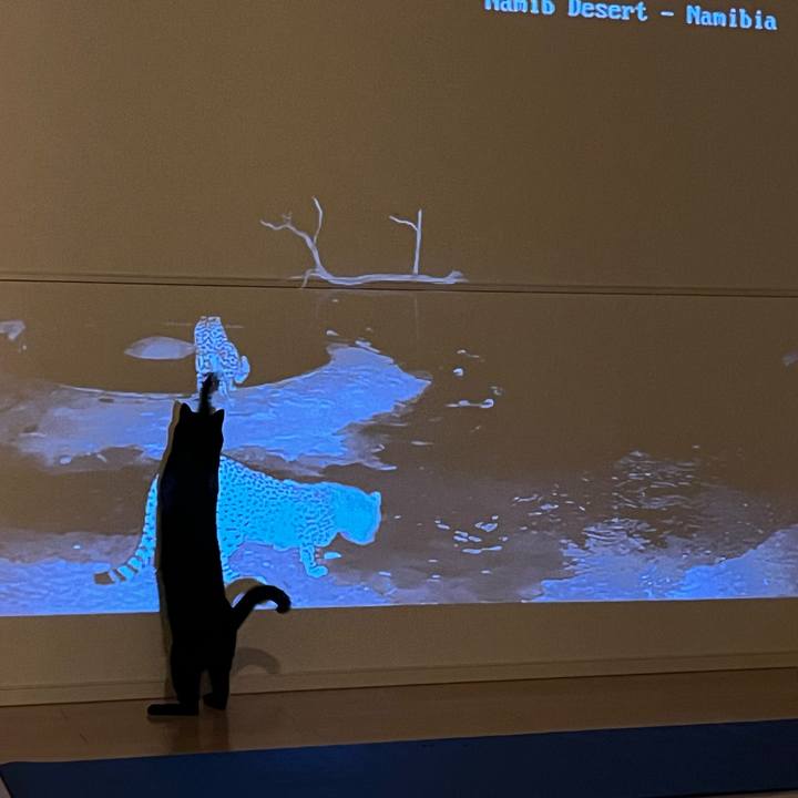 B7b7fef0 3552 497e 8f5f d2d56612248d 1766057435992