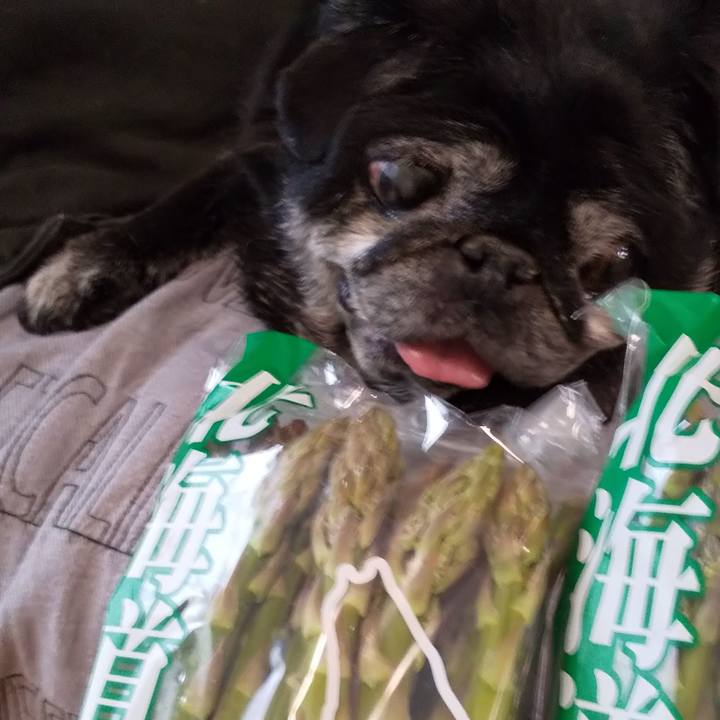 B7b8086c c312 497a 8a83 a20a4795a1ed 1559291309270