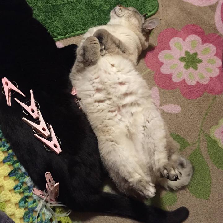 B7b80fc2 2618 4cc0 927d cc80e9e2b17f 1550486751058