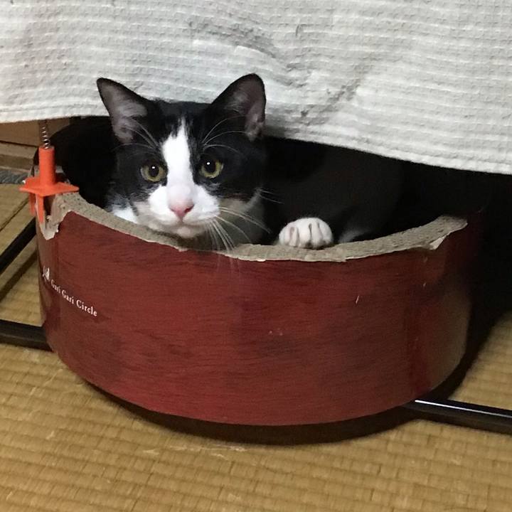 B7b81209 f57b 40dc a404 f107b5acc7d1 1636109534248