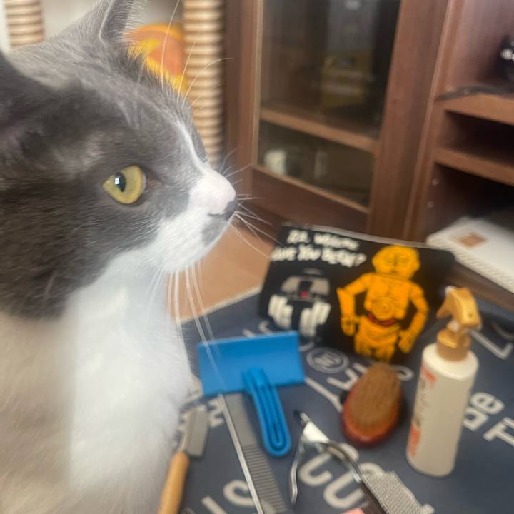 B7b84fe6 d0cf 4379 aa4f 9f944bee8fa8 1702172456264