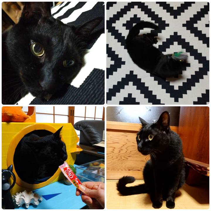 B7b85167 cbe1 440b 9ebc 68777491cb31 1592055948579