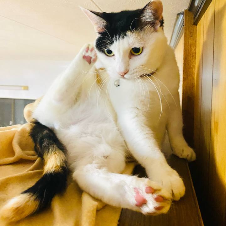 B7b85fcf 66f8 4547 a317 7b72538ca7a3 1665917926299