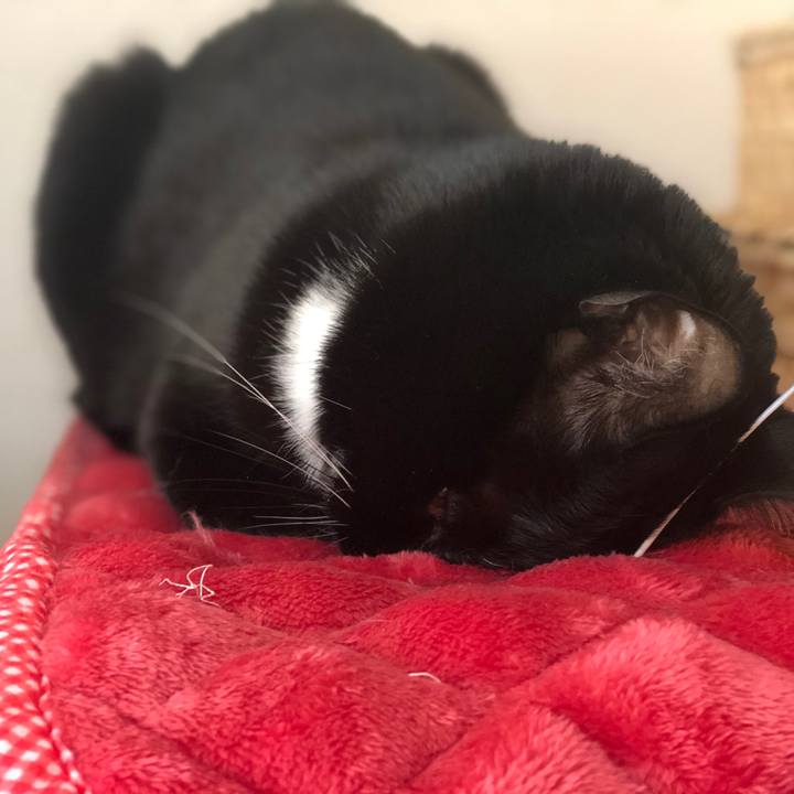 B7b864ce 2a3f 4041 9421 610979a1720a 1578997517157