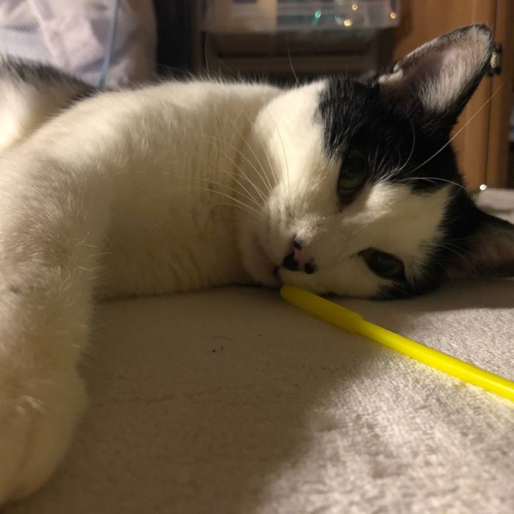 B7b8abb8 e025 4ebe 869c 02612de2cddf 1547654433000