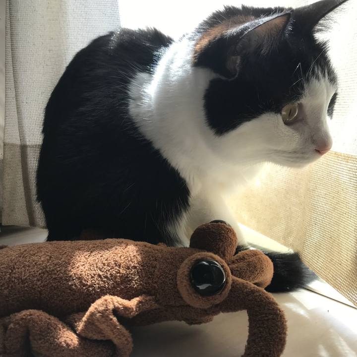 B7b91ae6 4082 40c1 8eaa 58d16a7c5631 1553650623585