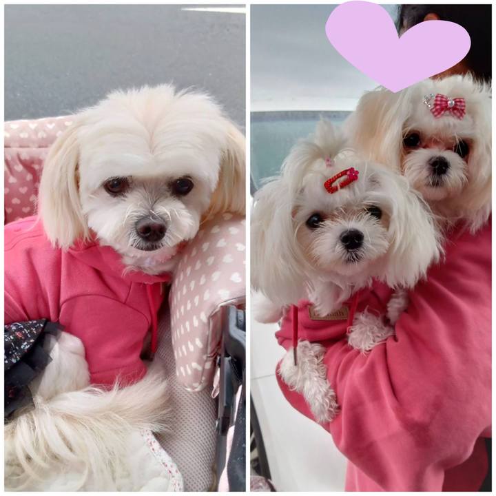 B7b92bf3 f2ae 4496 b056 5fcceed39ccd 1730019970317