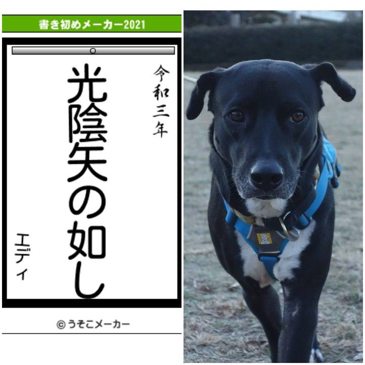 B7b9545b d967 4a2c bd0d 412a4c0e41df 1609756242917