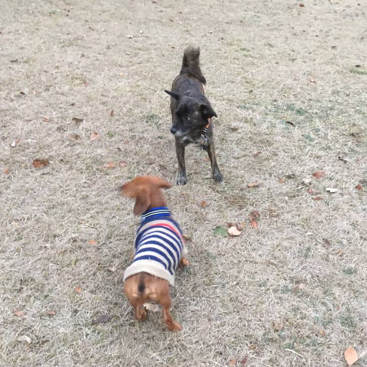 B7b9688f ce52 47ce 8277 a32107abe039 1518087387367