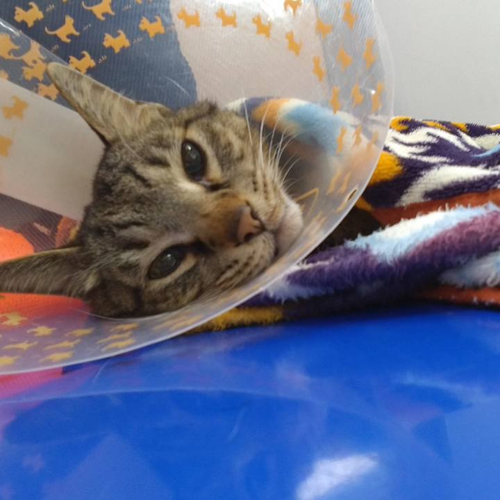 B7b98433 c691 44f4 af51 588558477c0b 1745206425491