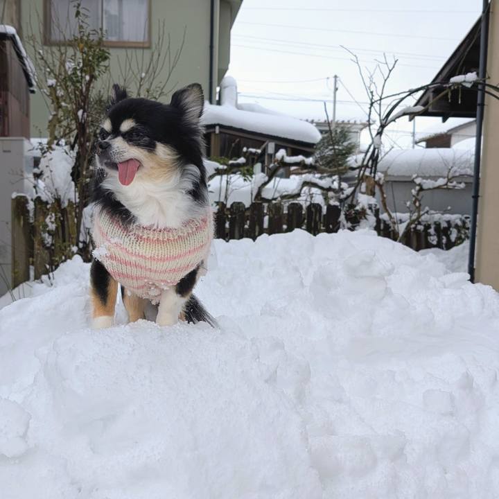 B7b98d91 0abd 4a89 96d3 5bdb1928c8c5 1769316102731