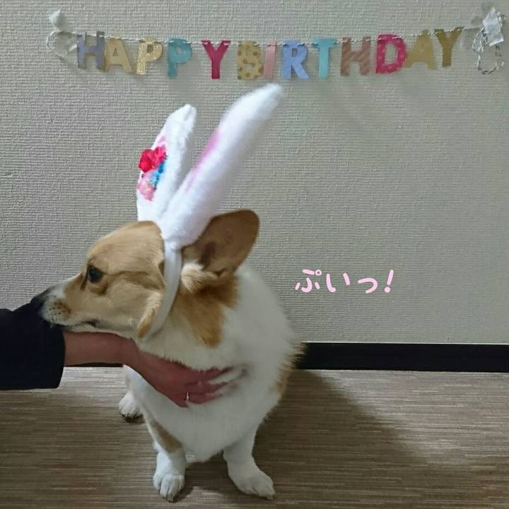 B7b9ac9e c122 4206 972f aff14376db86 1551711767375