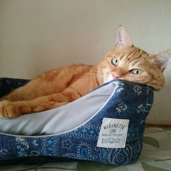 B7b9aee4 55b6 428e ac35 0d6f8bb3fcd3 1535327465183