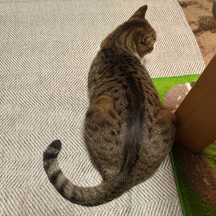 B7b9c109 3733 4e08 b21c 29dacafa4f98 1749561728457