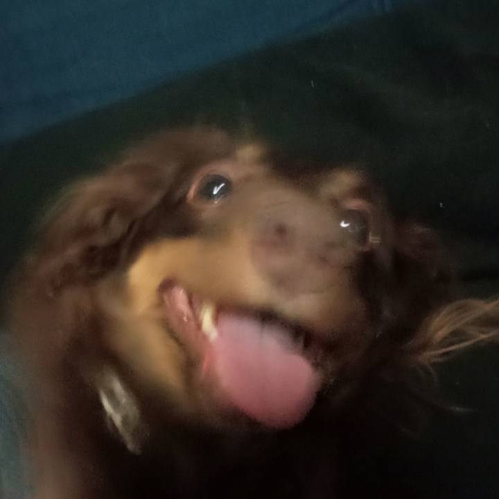 B7b9d41b f8e0 49fd bfb9 78749d0090b2 1750283595822