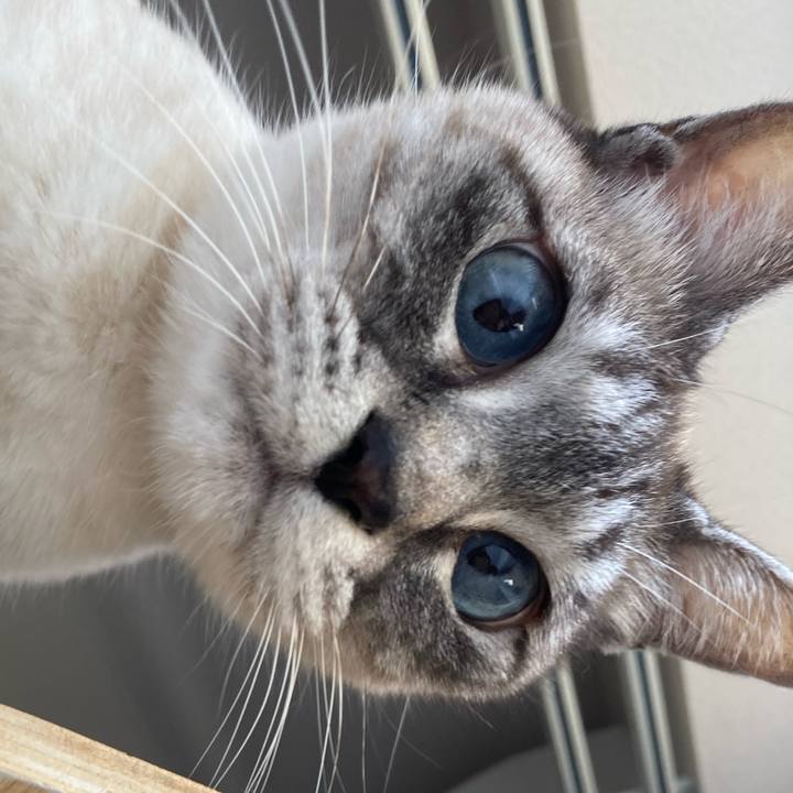 B7b9db22 855b 4d18 a4f7 b4152440325b 1710555235824