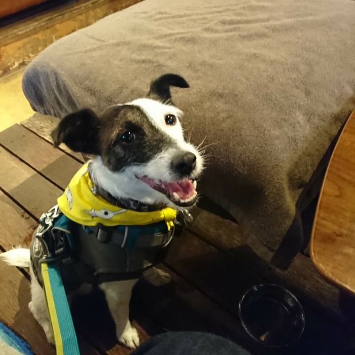 B7b9e12f 32db 4cd3 a265 dbe6e9ea8ce2 1510984291564