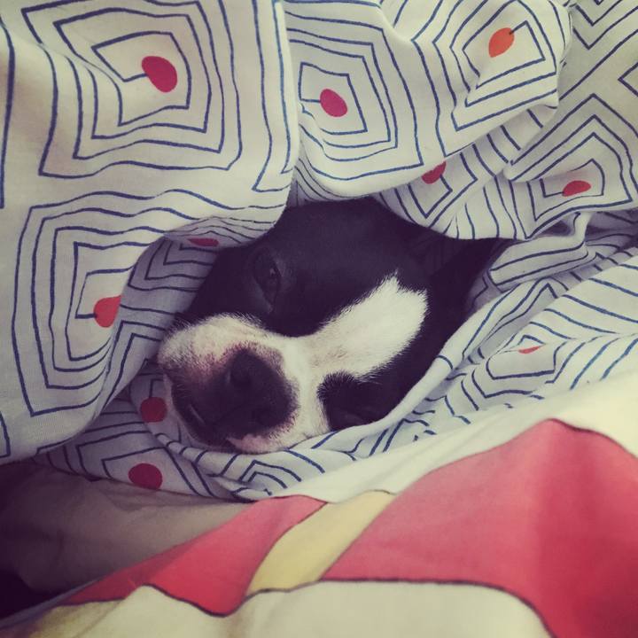 B7ba1dd4 27cf 4313 9486 c16689133157 1532943555794