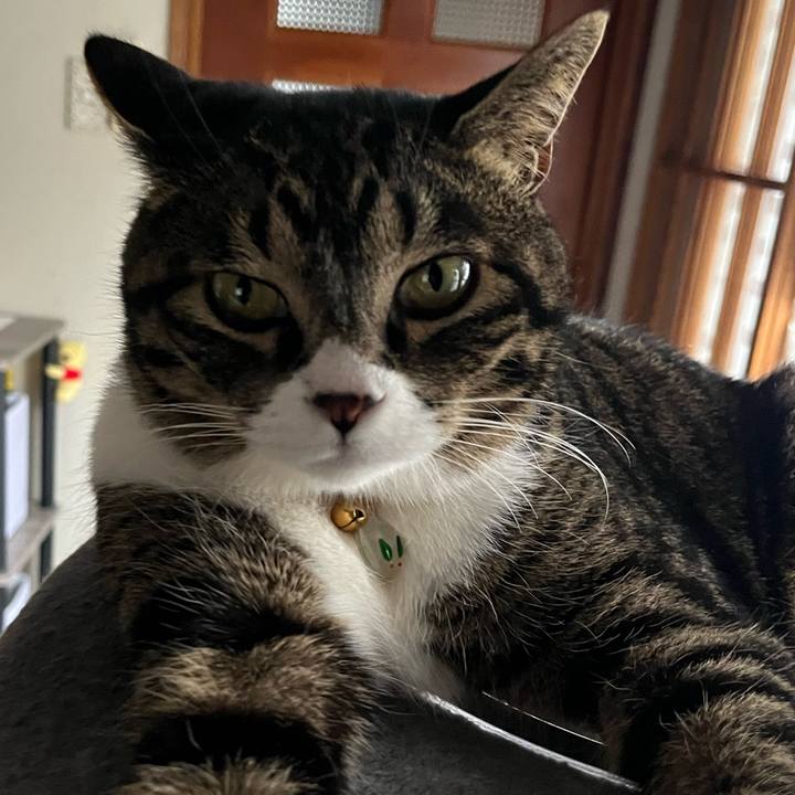 B7ba2f95 d2c0 4e6c bfff 5d28b1f1ddc3 1774569581749