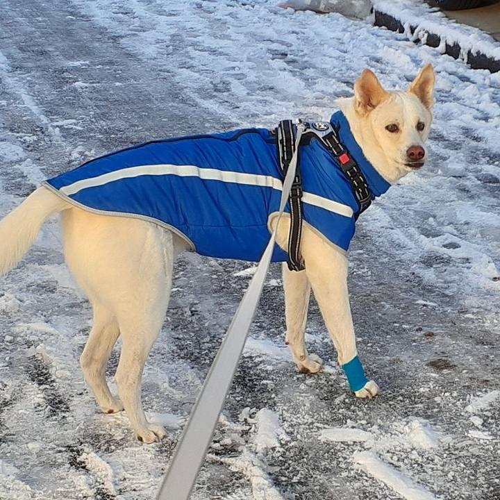 B7ba6be4 5a5b 4964 96e7 bf2626e9924b 1641530343299