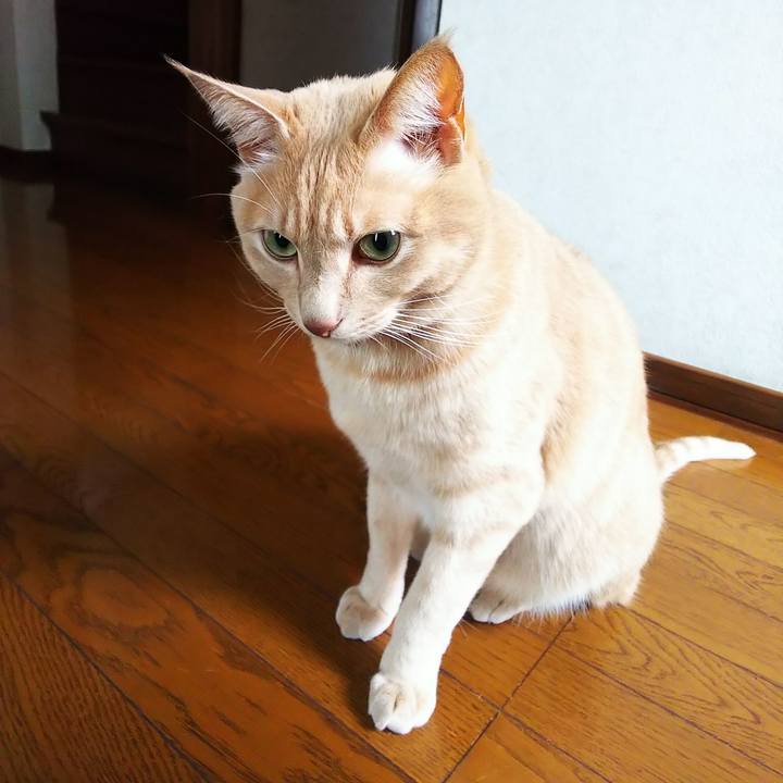 B7ba75e2 8b4b 4cb0 b6b8 0ba5c78499af 1605230747614