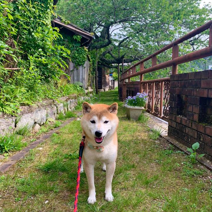 B7ba8032 d760 414e 8de7 eace1b78af8e 1652950639951