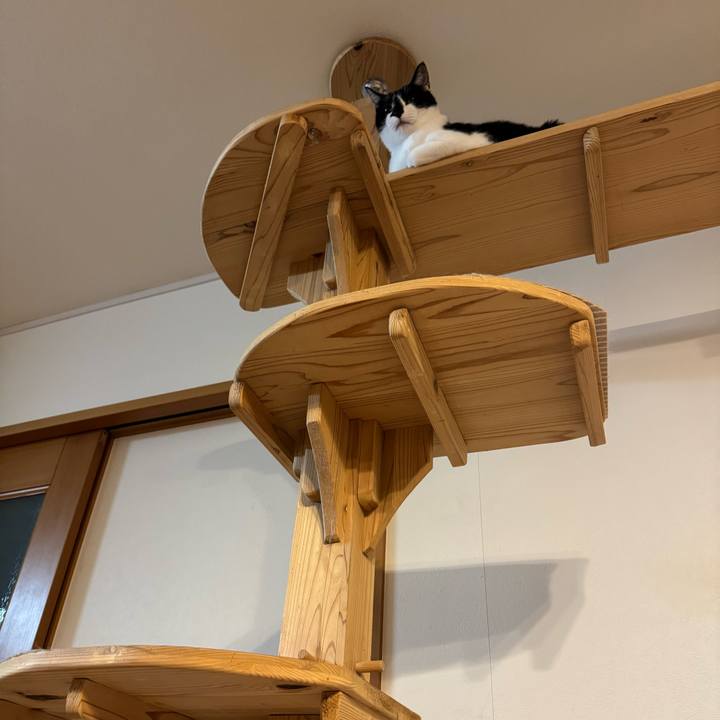 B7bab147 4250 4d36 aca1 4a7aa8ffa6fe 1763295734617