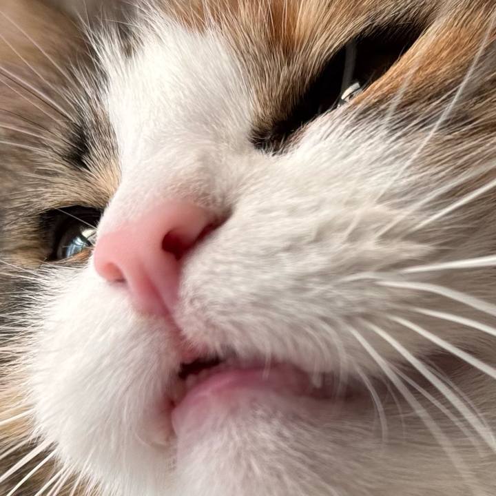 B7bab555 0c8f 446c ac3b 056be8f5e684 1763724139744